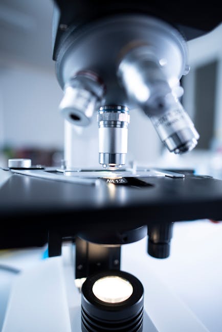 The Future of CRISPR in Gene Therapy