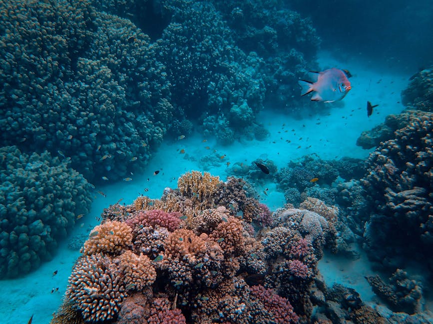 The Hidden World of Soil Microbes: Unseen Guardians of Biodiversity