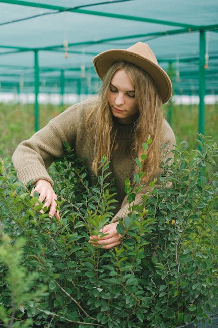 The Secret Language of Plants: How They Communicate