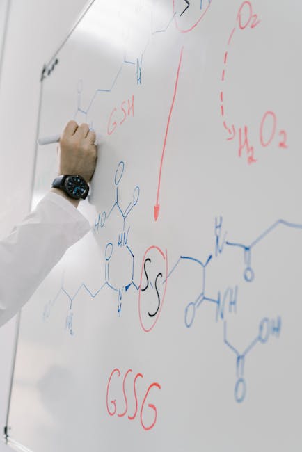 Fundamentals of Electrochemical Cell Design