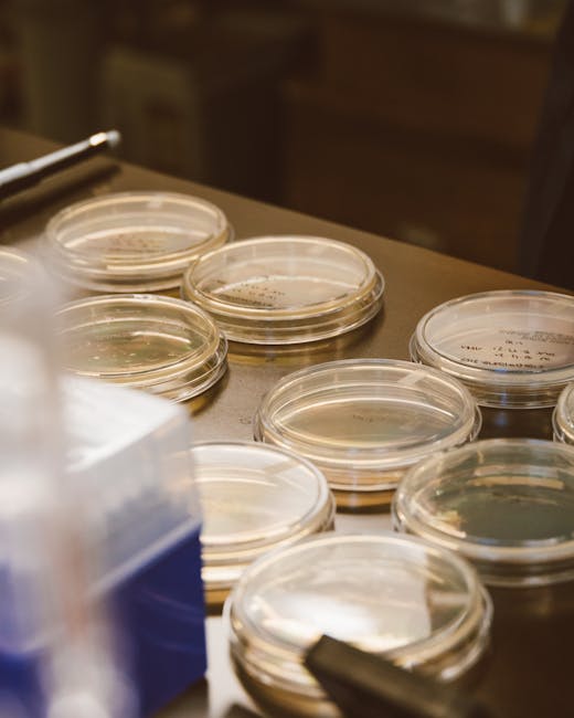 The Double Life of RNA: Beyond Messenger to Master Regulator
